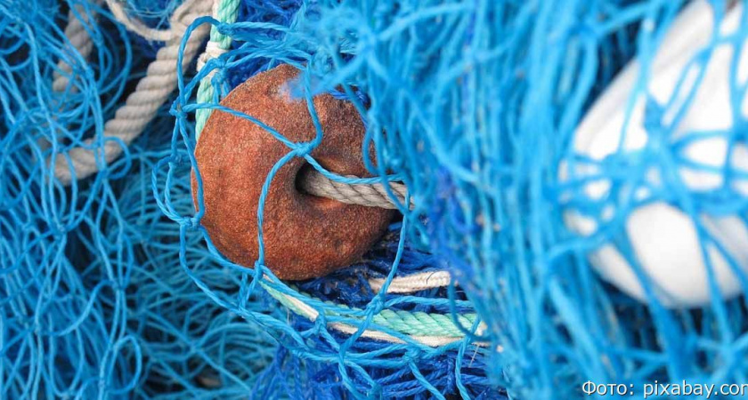 На Камчатке за неделю завели восемь уголовных дел на браконьеров