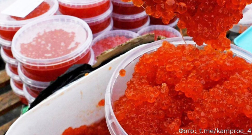 За неделю с Камчатки пытались тайком вывезти 160 килограммов икры