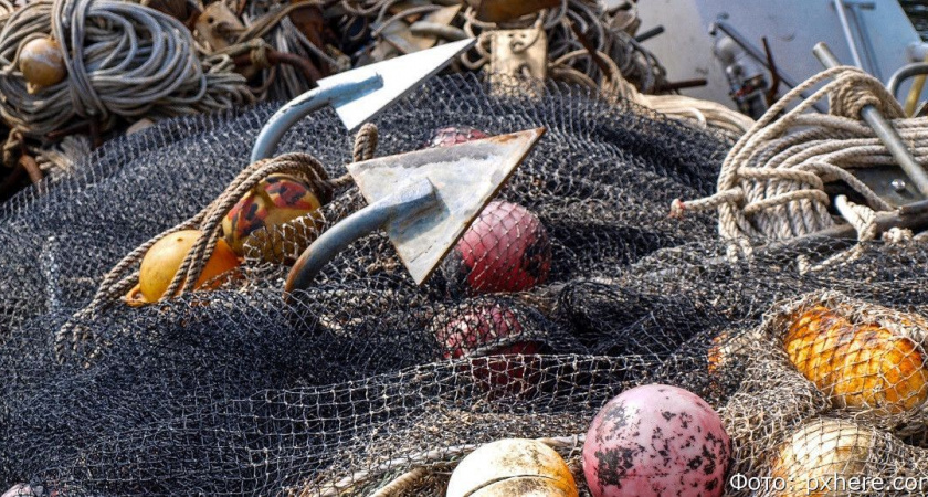 Единственная подзона на Камчатке превысила показатели прошлых лет по вылову рыбы