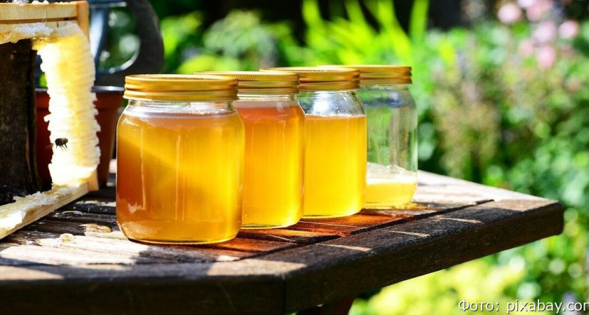 Мед в магазинах: почти все фальсификаты, предупреждает Роскачество