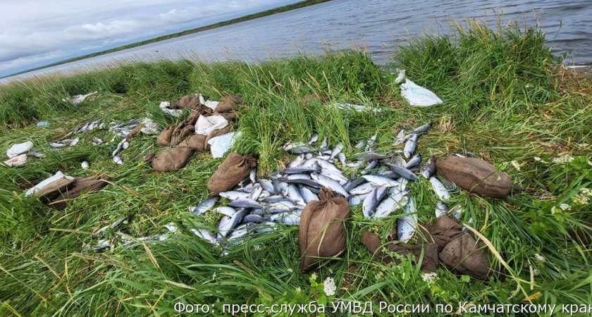 В Усть-Большерецке полицейские задержали браконьера, наловившего рыбы на 950 тысяч рублей