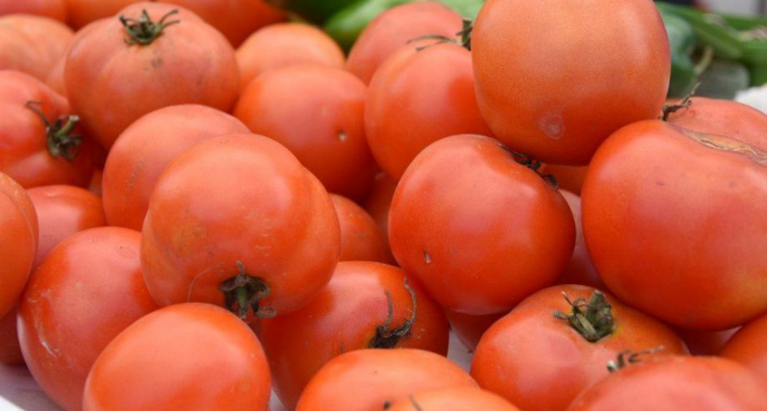 Ярмарка фермерских хозяйств открывается в городе Елизово