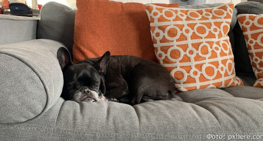 Гороскоп на 12 августа: Стрельцы проведут день на диване, а Тельцы – в дороге