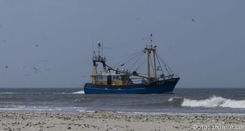 На Камчатке растут показатели путины