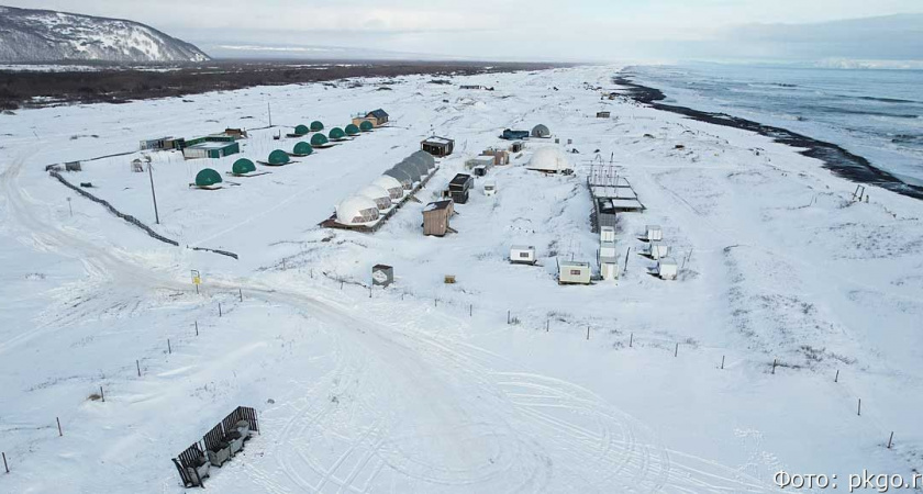 Субсидия накрылась геокуполом: камчатскому минтуризма не вернут деньги за глэмпинг