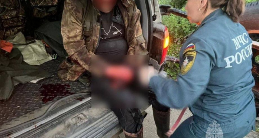 Житель Камчатки выжил после встречи с медведем