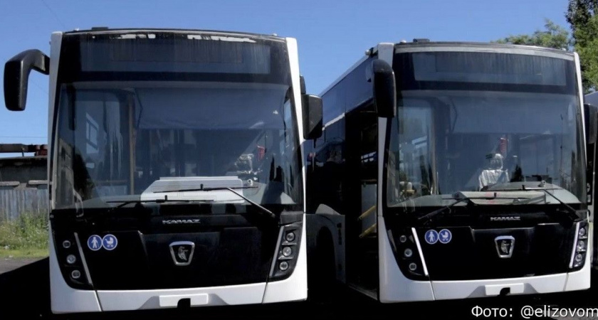 На пригородные маршруты Елизовского района выйдут два новых автобуса