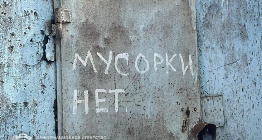 Молодежный субботник проведут в детском парке 16 августа в Петропавловске