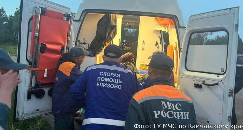 В камчатском минздраве рассказали о состоянии выжившего после конфликта с медведем