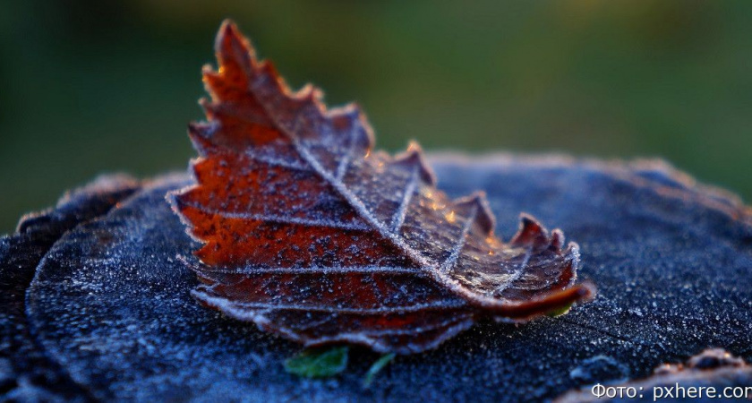В предстоящие выходные на Камчатке ожидаются заморозки