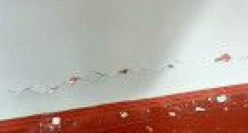 Посыпалась побелка и треснули стены: камчатские спасатели провели осмотры после землетрясения