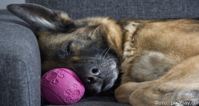 Эксперты раскрыли эффективный способ победить бессонницу