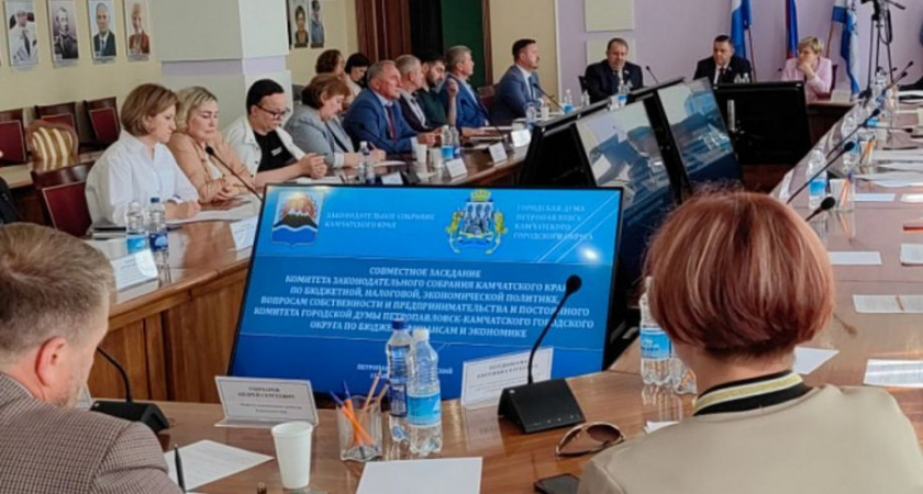 Стратегические планы развития Петропавловска-Камчатского и другие значимые темы экономики края обсудили депутаты ЗакC и ПКГО