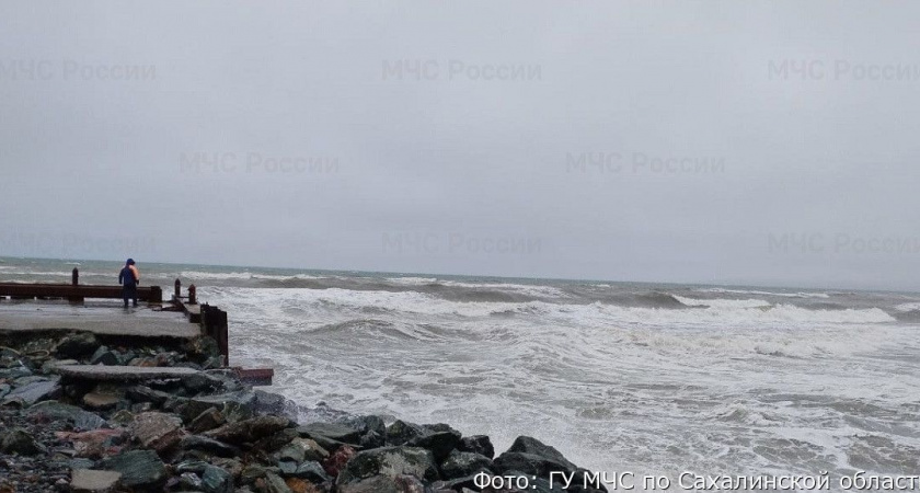 На Камчатке море выбросило на берег труп