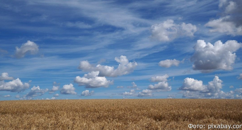Синоптики рассказали, какая погода ждет Дальний Восток осенью