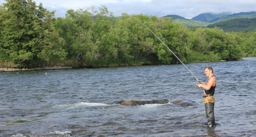 Камчатский фестиваль «Сохраним лососей вместе» перенесли на 30 августа