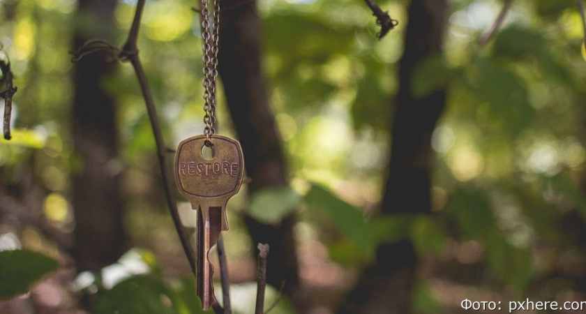 Бастрыкин поторопил камчатских следователей с делом о выселении семьи из дома