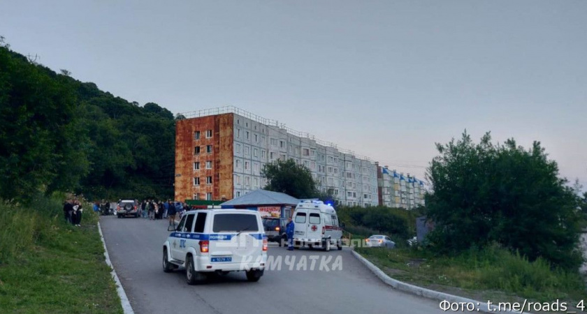 В Петропавловске-Камчатском пьяный водитель сбил женщину