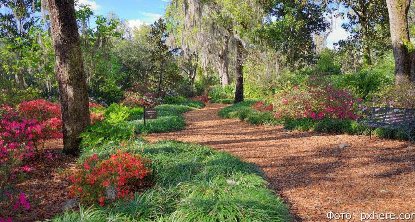 Губернатор Камчатки поручил развивать зелёную урбанистику Петропавловска-Камчатского