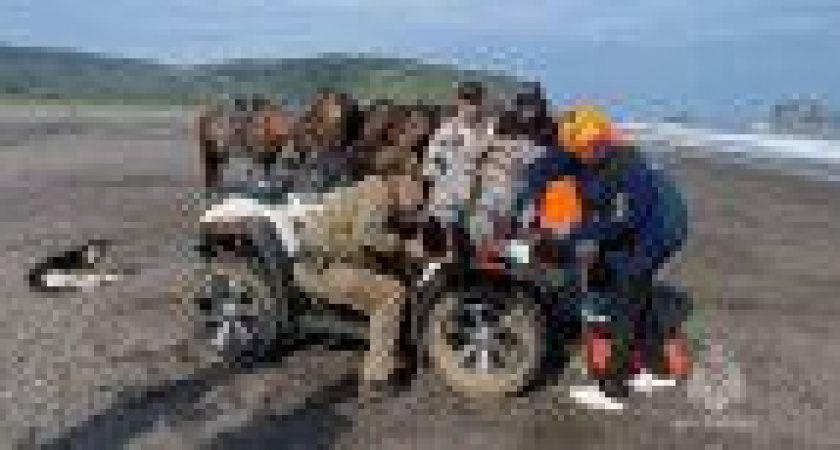 Калининградского пенсионера эвакуировали с пляжа на Камчатке после падения с лошади