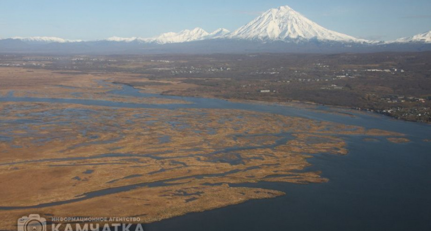На камчатской реке Авача задержали браконьера с уловом