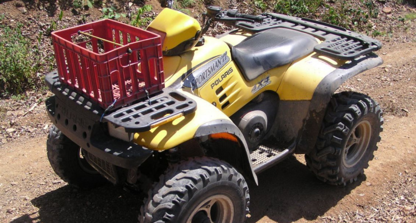 Два работника соколиного центра Камчатки попали в ДТП: один из них в коме