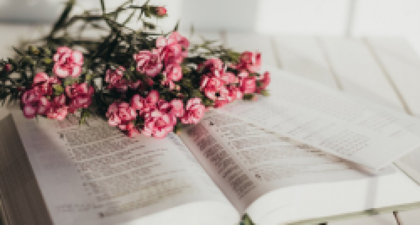 21 августа отмечает свой юбилей историк и краевед Ирина Витер