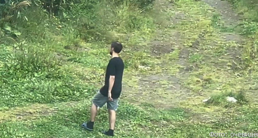 В Петропавловске-Камчатском наркоторговцы и их клиенты оккупировали лес возле дома