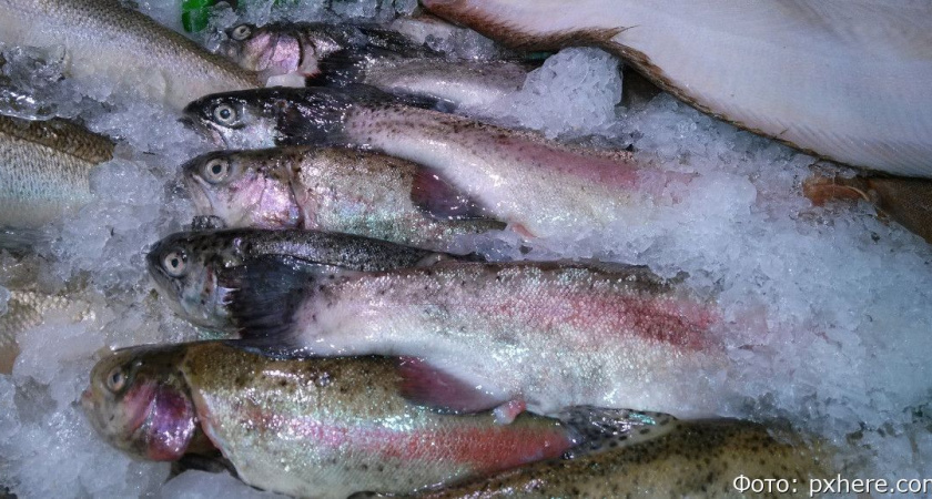 Четверо камчатцев наворовали рыбы с рыбозавода на четыре миллиона рублей