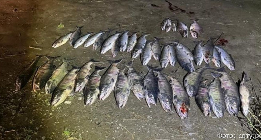 На Паратунке задержали браконьера, наловившего почти на 252 тысячи рублей