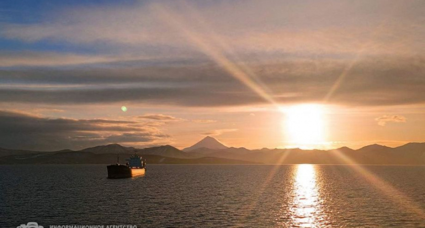 522 тысячи тонн минтая выловили у берегов Камчатки и Чукотки