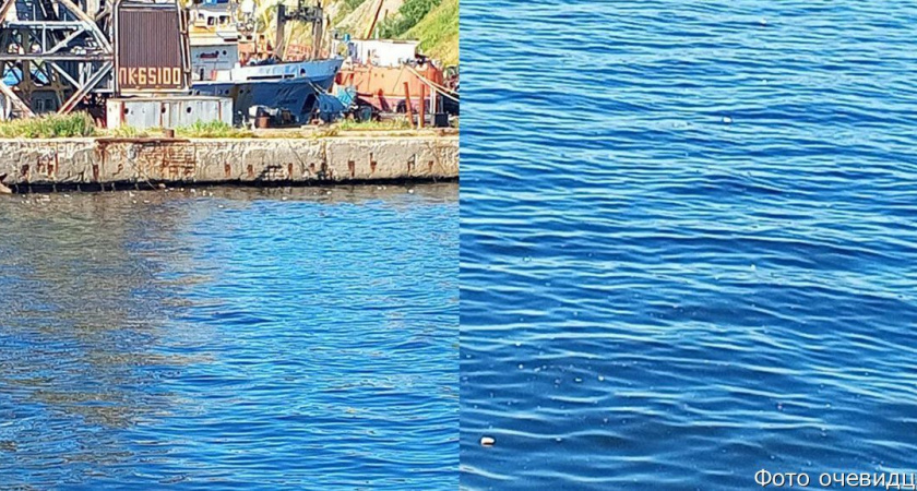 На Камчатке мужчину взволновал пенопласт и мусор засоряющий бухту во время распила судна