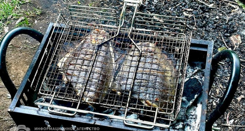 Городской пикник «Провожаем лето вместе» проведут на Камчатке в субботу