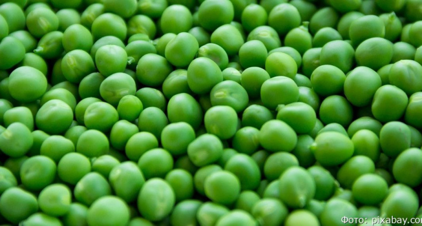 Врачи призвали обязательно греть консервированный горошек