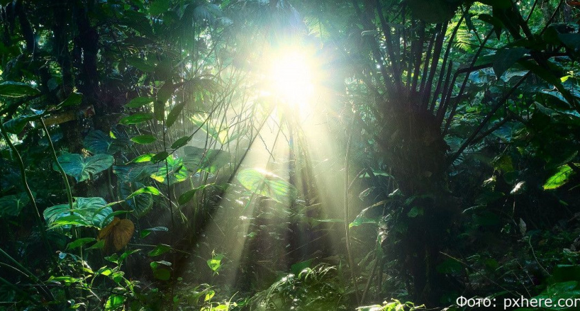 Гороскоп на 1 сентября: Козероги и Водолеи, будьте добрее к людям