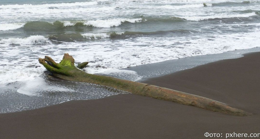 На западном побережье Камчатки море зальёт косу: находиться там опасно