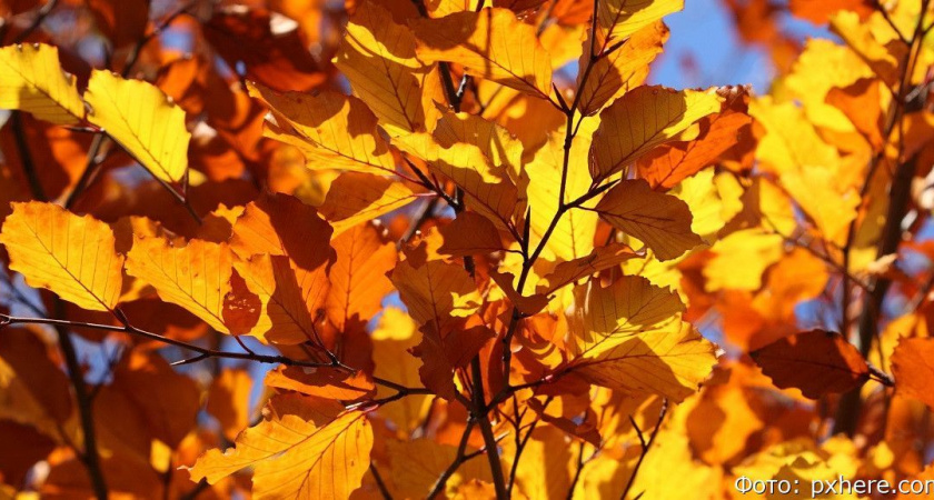 Гороскоп на 4 сентября: у Раков перемены на работе, Стрельцам не стоит сорить деньгами