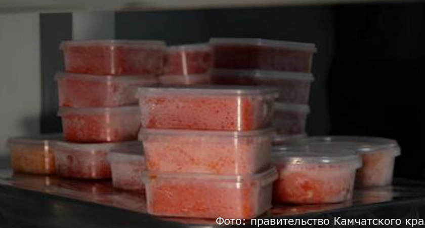 Контрабандный антирекорд: за неделю с Камчатки пытались вывезти 63 килограмма икры сверх нормы