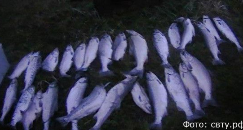 На Камчатке двое браконьеров наловили на 287 тысяч рублей штрафа