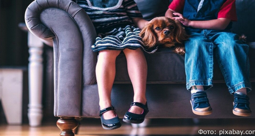 Работодателей хотят заставить следить за рождаемостью детей у сотрудников