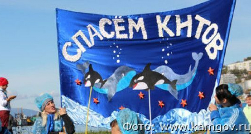 В Петропавловске пройдет экологический фестиваль «Море жизни»