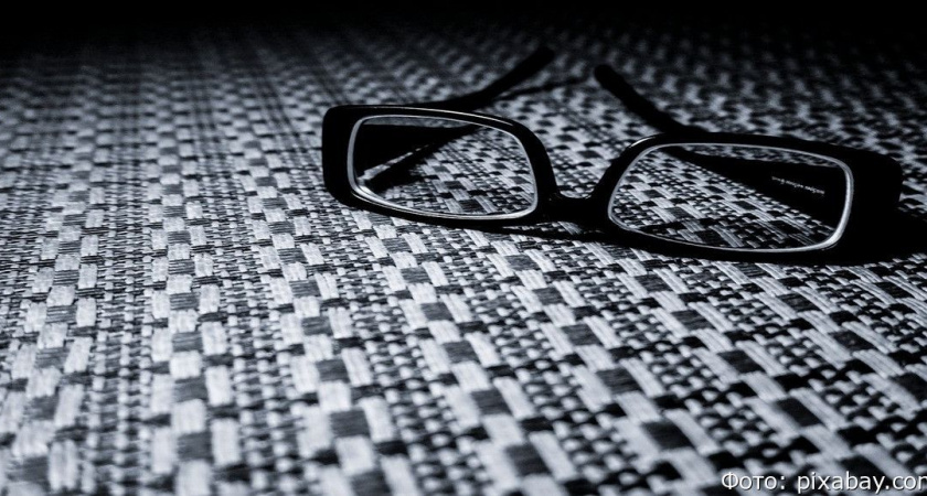 Киберхранители появились в России после обмана Ларисы Долиной