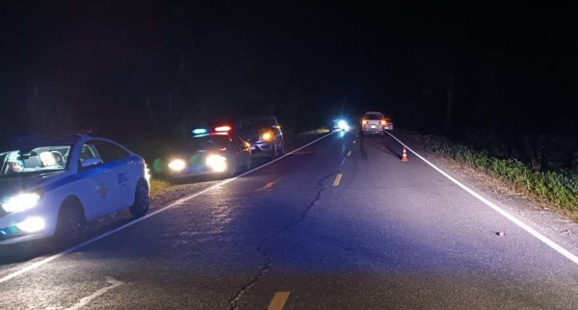 20-летний житель Камчатки погиб после ДТП в Елизовском районе