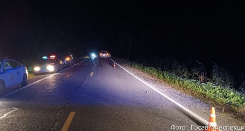 На Камчатке молодой парень погиб под колесами автомобиля