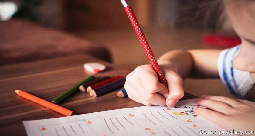 Детей мигрантов в РФ хотят обучать только за деньги