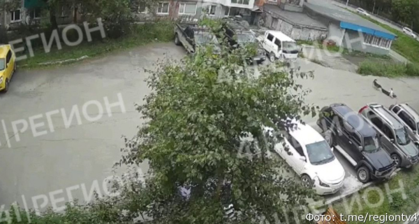 Центральный аппарат СК России озаботился нападением собаки на камчатскую школьницу (видео)