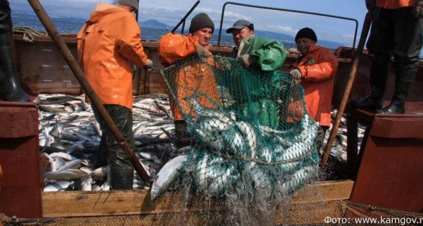 На Камчатке на выборах в артели «Колхоз Красный труженик» установят видеокамеры