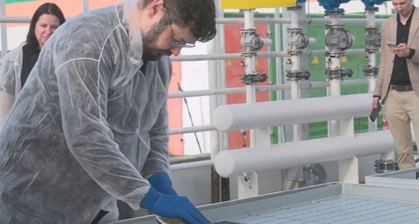 «Первый урожай уже в этом году» — Евгений Чекин на тестовом посеве в тепличном комплексе «Камчатский»