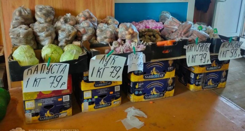 15 жителей Камчатки наказали за антисанитарию в магазинах с овощами и фруктами