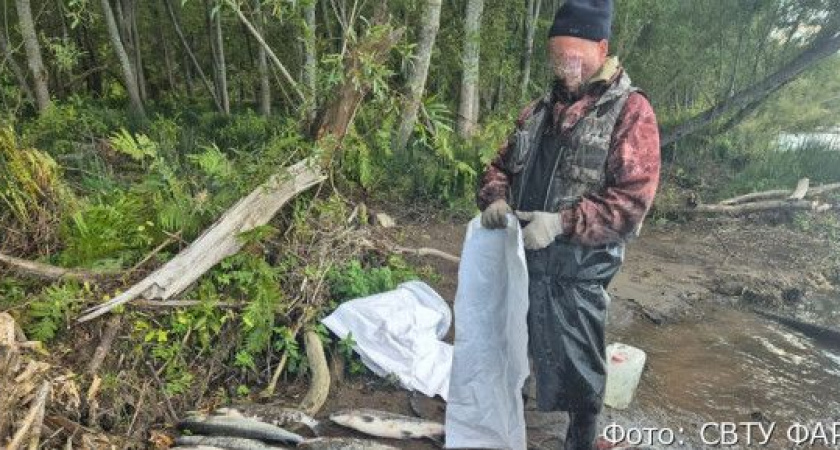 Житель Камчатки заработал судимость за 12 хвостов кижуча